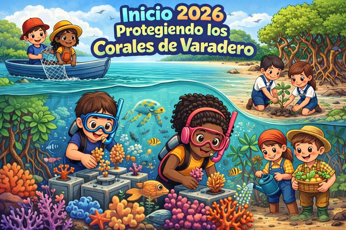 SalveVaradero's tweet photo. De salvarlo, a protegerlo.
Todos por una misma meta.
From saving, to protecting.
All for the same goal.
#CoralesDeVaradero #ÁreaMarinaProtegida https://t.co/ri7AM1yEqx