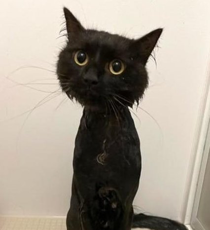 smplmac's tweet image. タイミングにメイクしようかな 🤫