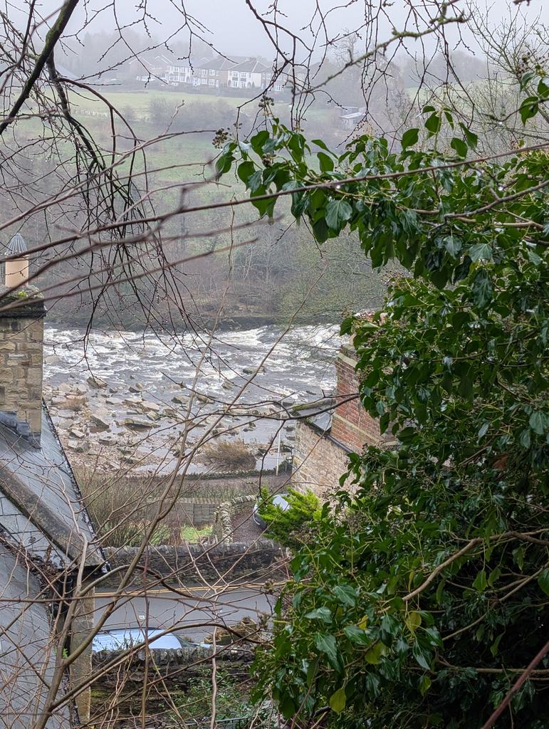 Jane Birky tweet media