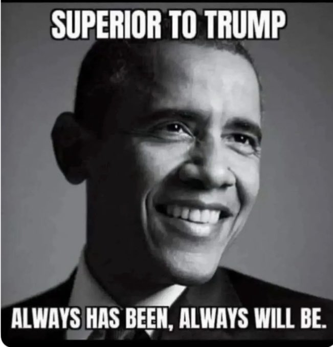 marlene4719's tweet image. President Obama deported 3.1 million people.  No one was beaten up or murdered . No chaos.  No storming schools or workplace.  It was all done, humanely and lawfully.