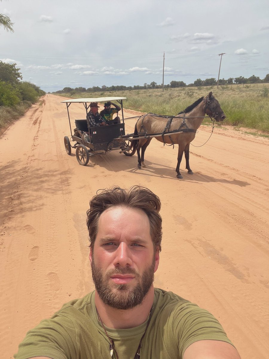 Nathan Seastrand tweet media