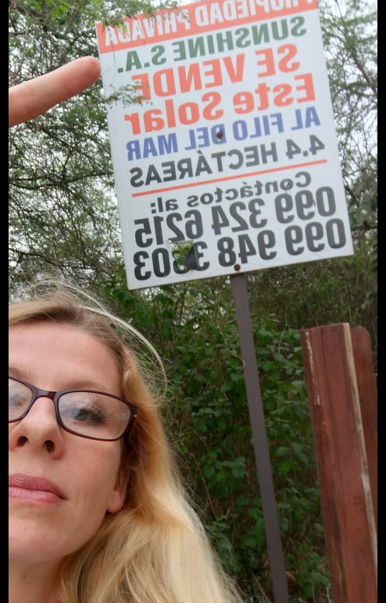 mejoresdiasEC's tweet image. Lo denuncio, arriesgando mi vida, desde 2014. 🚨

Poseo la documentación del caso. Pido ayuda de los ciudadanos de bien y periodistas imparciales 🙏

Sunshine Management Limited y #OttoVera: 

🔗x.com/i/status/20087… 🚨

🔗x.com/i/status/18627…