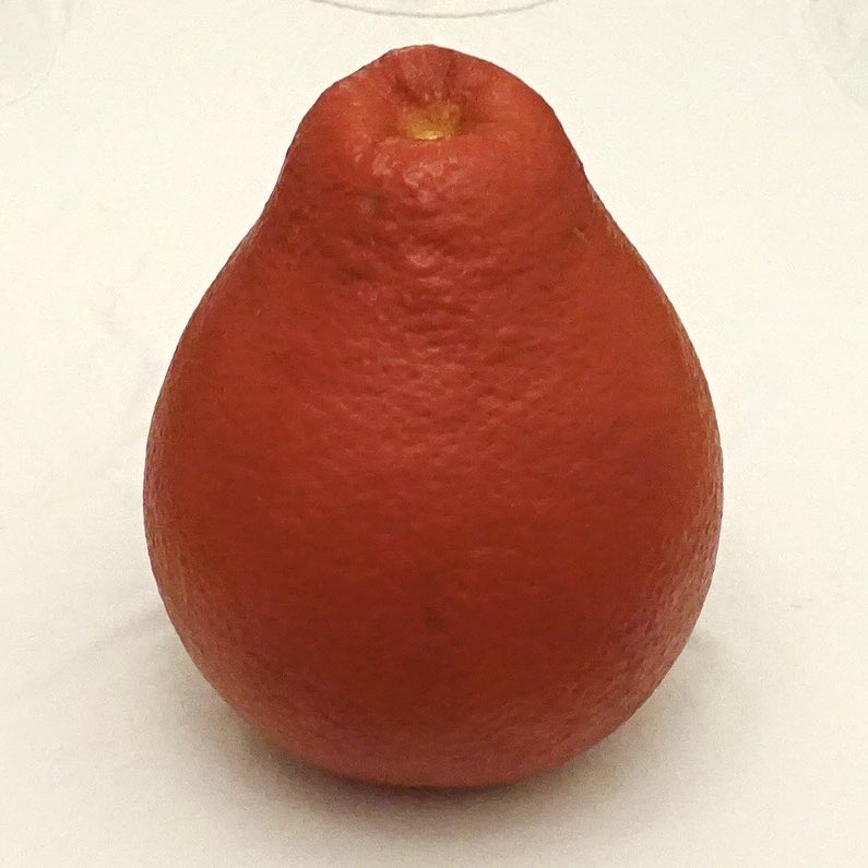 みかんノート (@mikanflavor1) / Posts / X