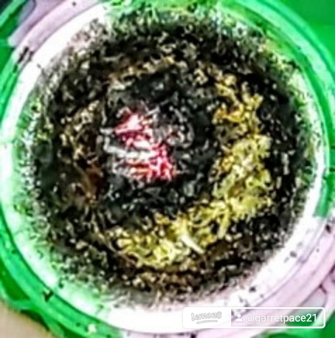 CountryboyVapes's tweet photo. Sometimes you just need to get lost in the bud and draw https://t.co/WTyaI2dj9E