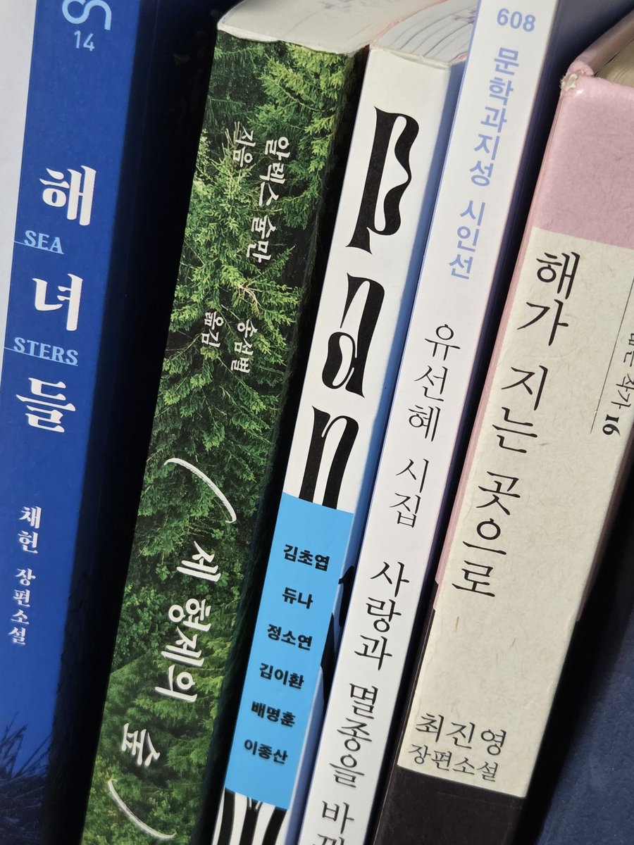 solzvb's tweet image. 오늘 빌린 책!
다짐대로 가벼운 소설 위주로 고른 것 같다.