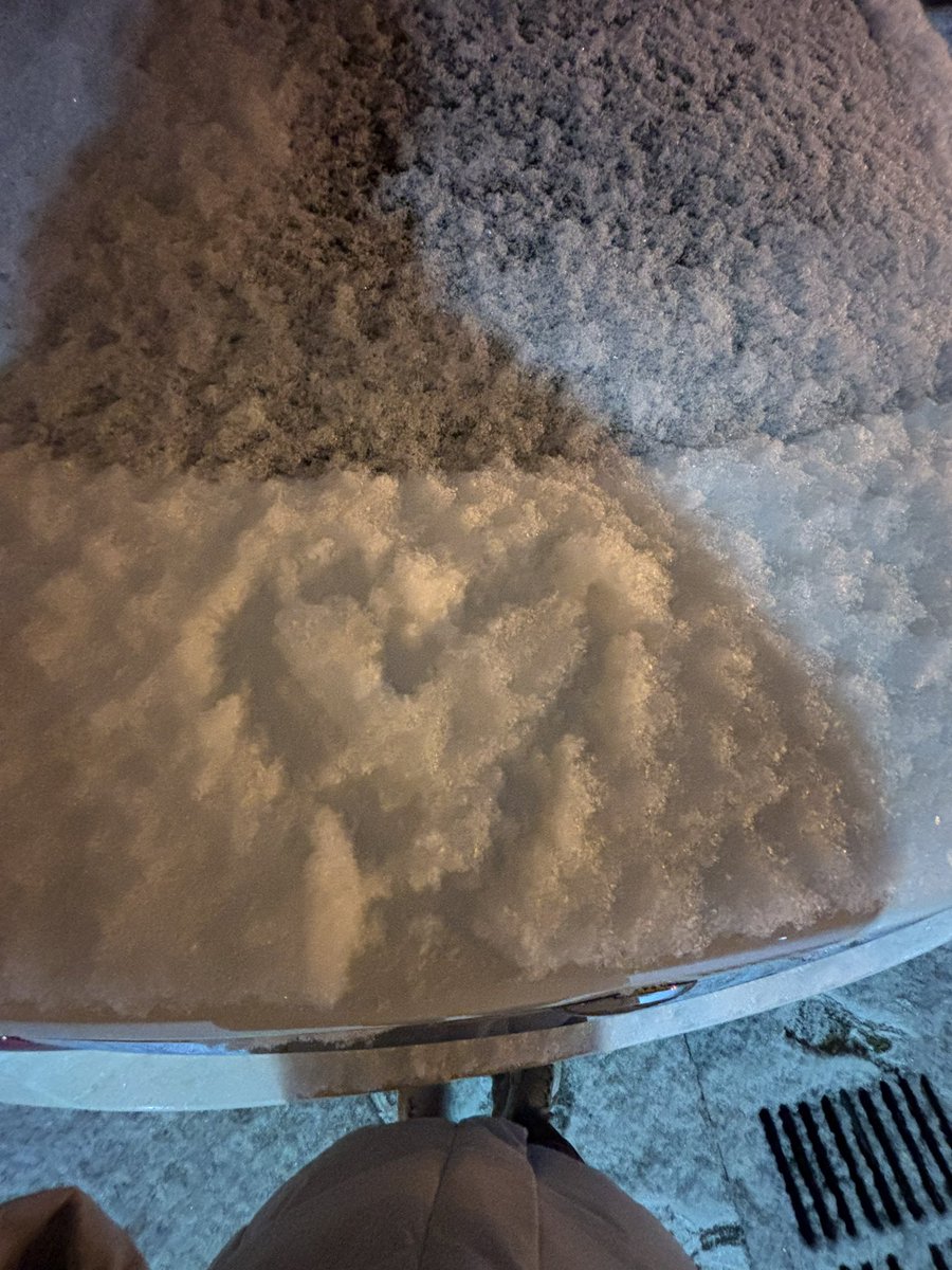 Felix1342848's tweet photo. ❄️ https://t.co/HAFHldAG7v