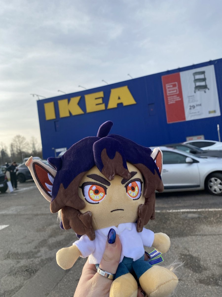 LadyMilkywayuwu's tweet photo. Ikea trip
(I told you i was gonna be annoying as hell as soon as i get a plush)
#blushblushgame https://t.co/9ZCd6iOnmr