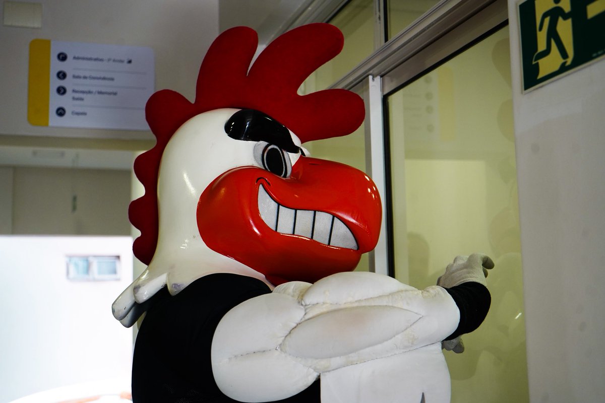 InstitutoGalo's tweet photo. Nos emocionamos juntos, Fundação Sara!

Uma visita que com certeza ficará marcada para o Instituto Galo na Estrada! 🖤🤍 https://t.co/FzqJX36zIh