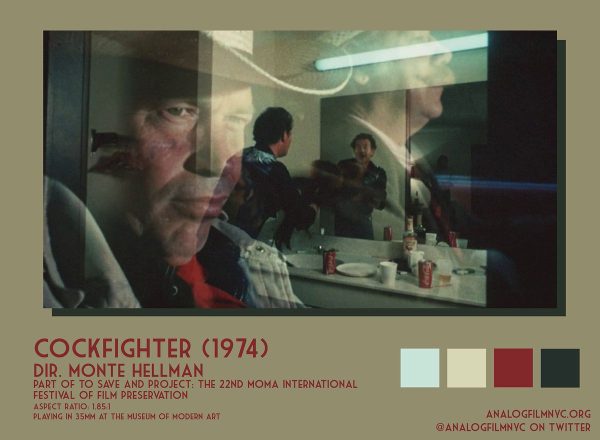 Analog Film NYC tweet media