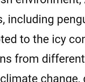 maxddfd's tweet image. ドライブ終わった！バナナ飲もう 🎅