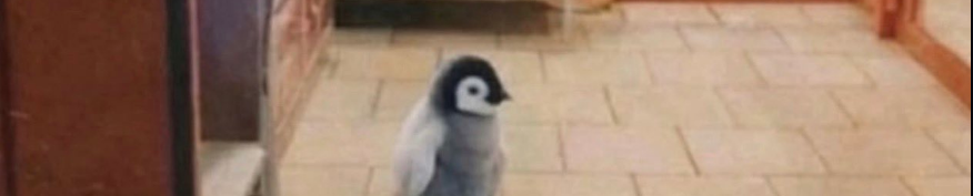 itsD3lay's tweet image. Aura