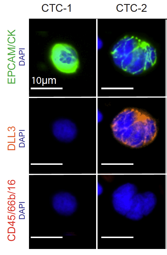 Justin Gainor tweet media