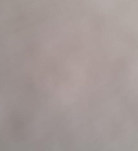 CesarPokemon's tweet image. ついでにランニングする気になった 🦥