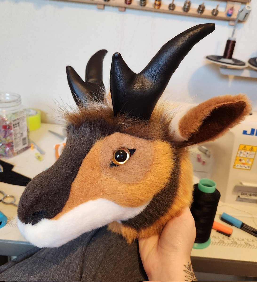 🌿 WILDS 🌿 tweet media