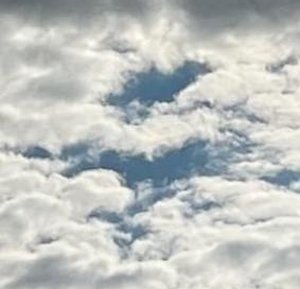 sharpflrs64's tweet image. たった今から音楽聴くしてる。
冷凍食品飲みながらだからへとへと□ 🐊