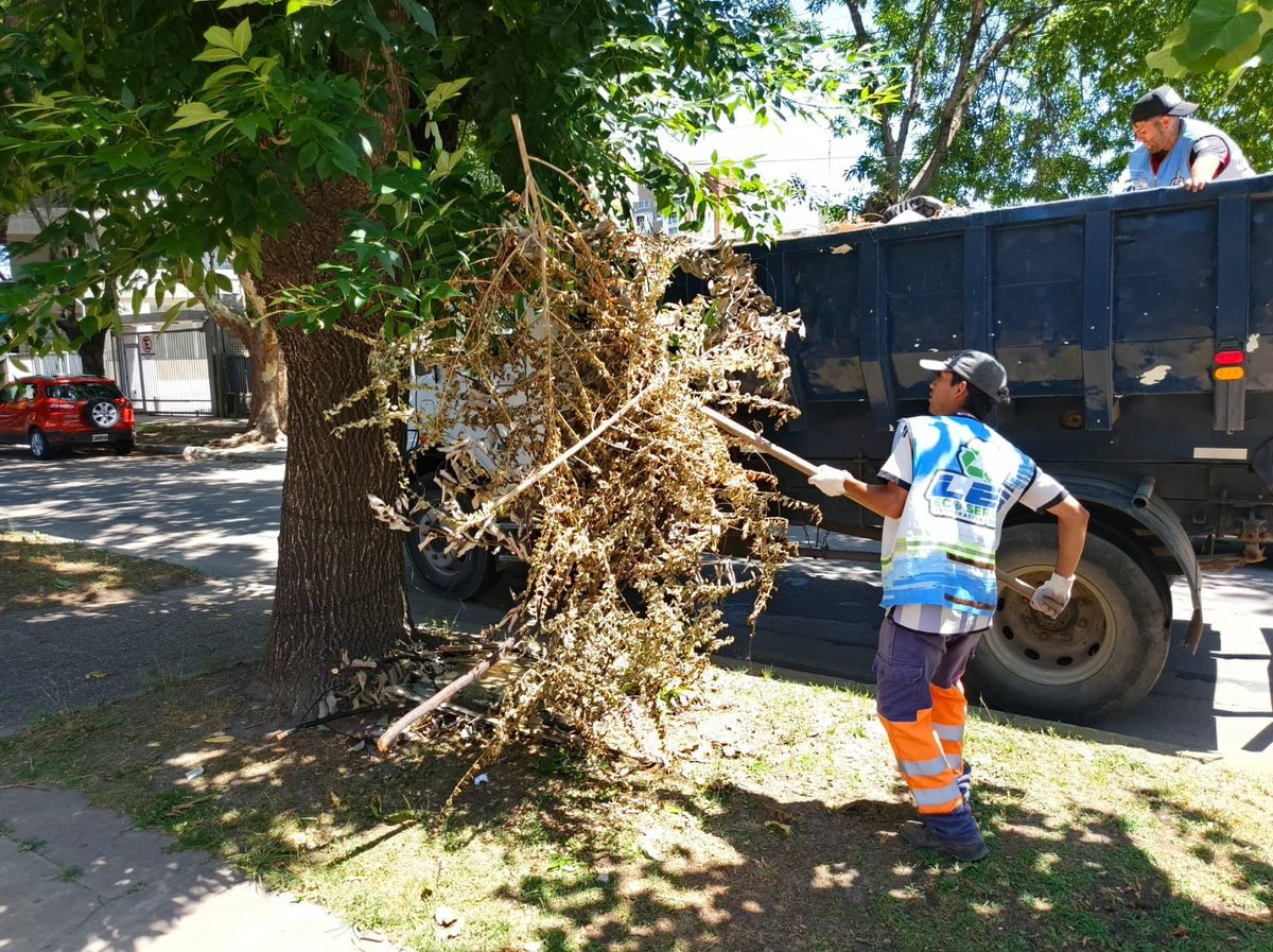 Andreswatsonok's tweet photo. 📌 Las acciones se realizaron en Bosques, Centro, Villa Vatteone, Villa Argentina, Villa Hudson, La Rotonda Industrial, 5 de Enero, San Eduardo y Villa Brown, entre otros. https://t.co/cR8DlVl9By