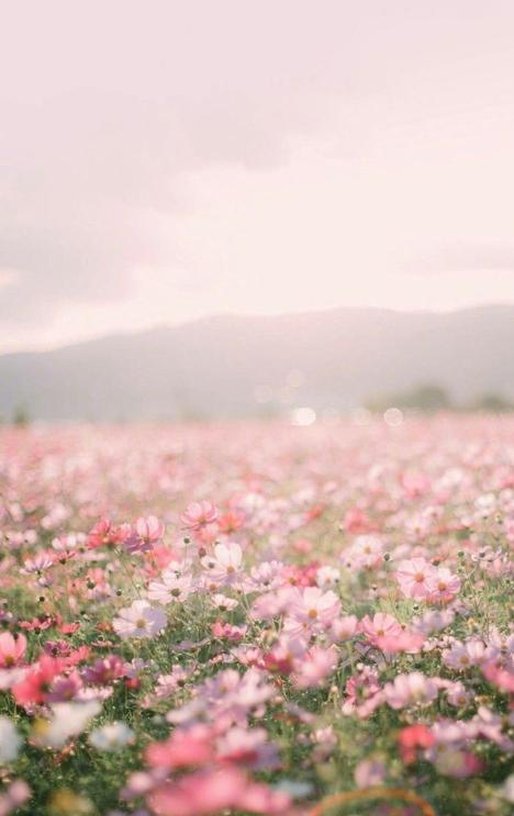 _Solates's tweet image. 月末にケーキ食べて落ち着かない 🍕