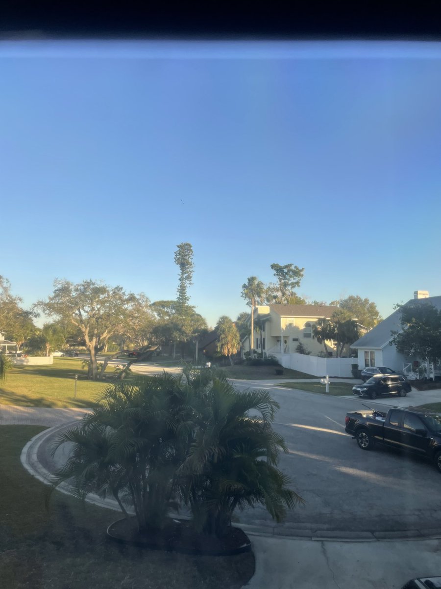 I could get used to this view every morning 😍🌴🌞