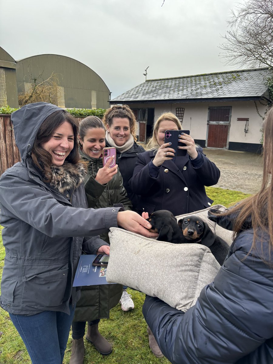 Ballyhane Stud tweet media