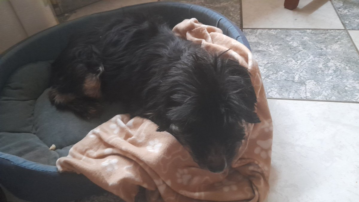 Mathis 2.0 tweet media