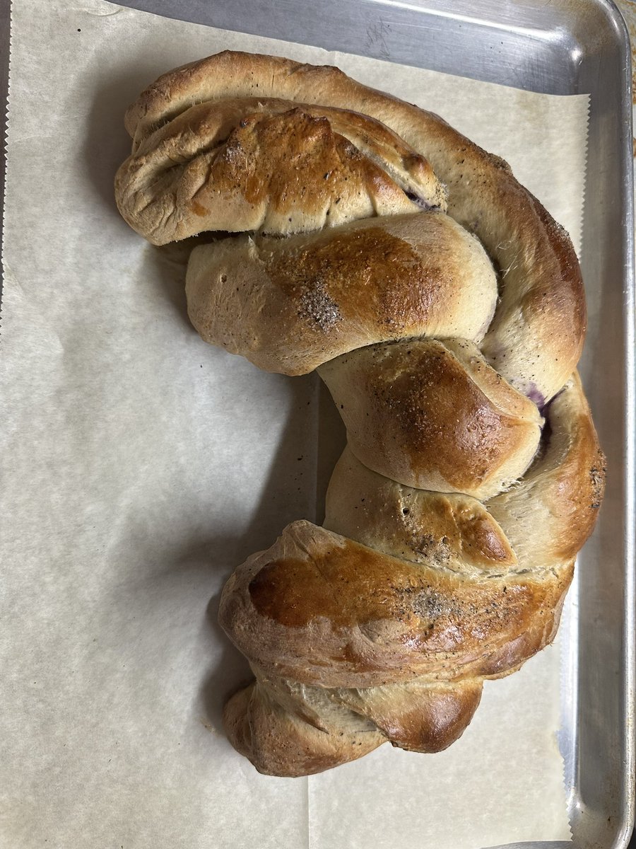mxpeachy's tweet image. guys I am so proud of the bread I made yday (earl grey lavender challah w blueberries)