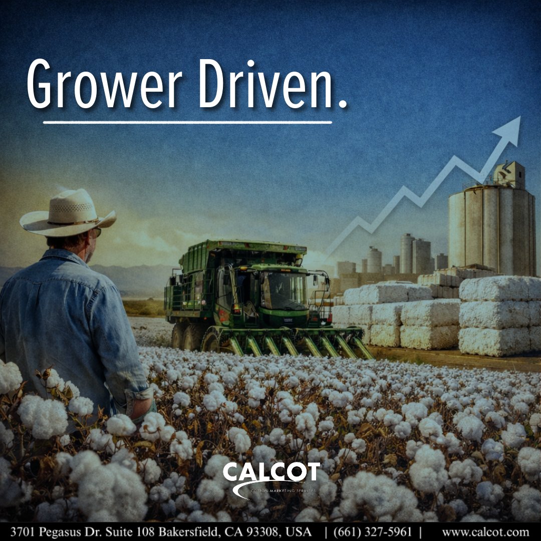 Smart marketing at Calcot means supporting operations in the field while strengthening the cooperative that drives long-term value for our grower-owners.