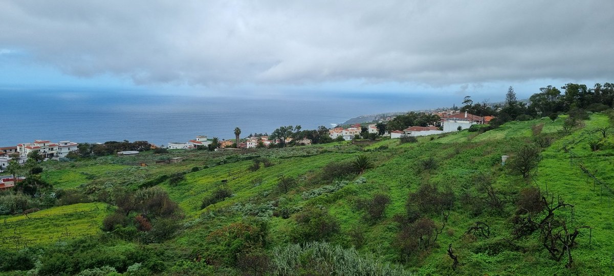 Mirad el antes y el después del mes de lluvias en Tenerife en las fotos que he sacado, flipante!