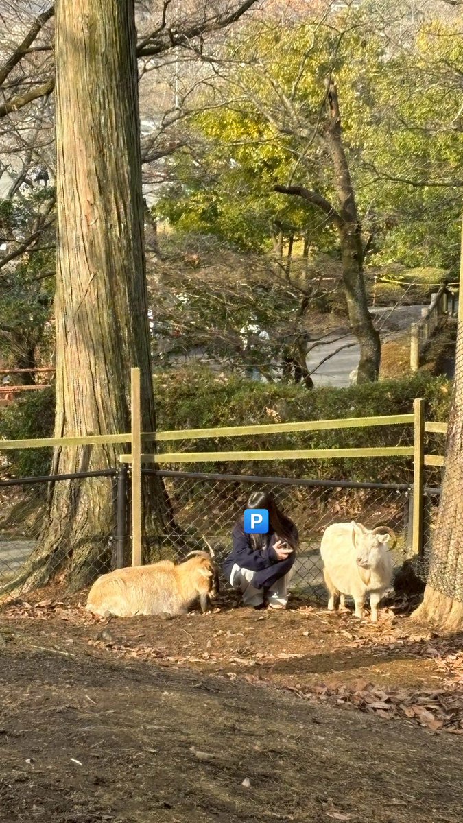 ダル絡みしてウザがられていますね