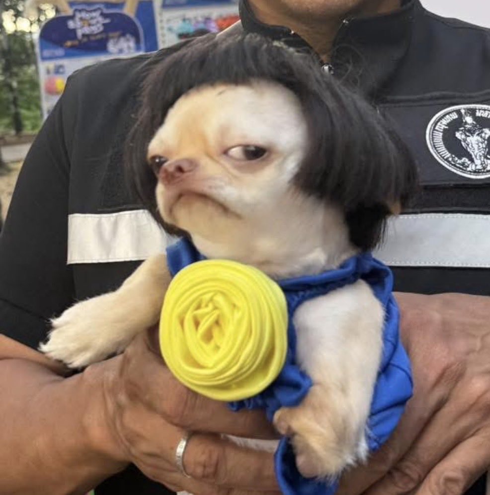 OnlyZeePruk's tweet image. ขำหน้าน้องมาหลายนาทีละ มาช่วยกันขำที 5555555555