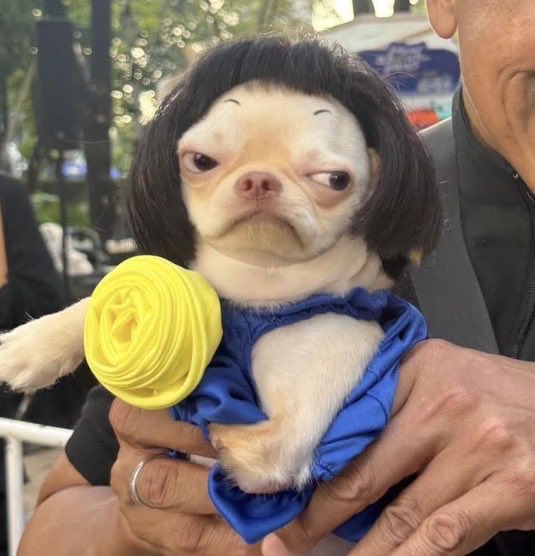 OnlyZeePruk's tweet image. ขำหน้าน้องมาหลายนาทีละ มาช่วยกันขำที 5555555555