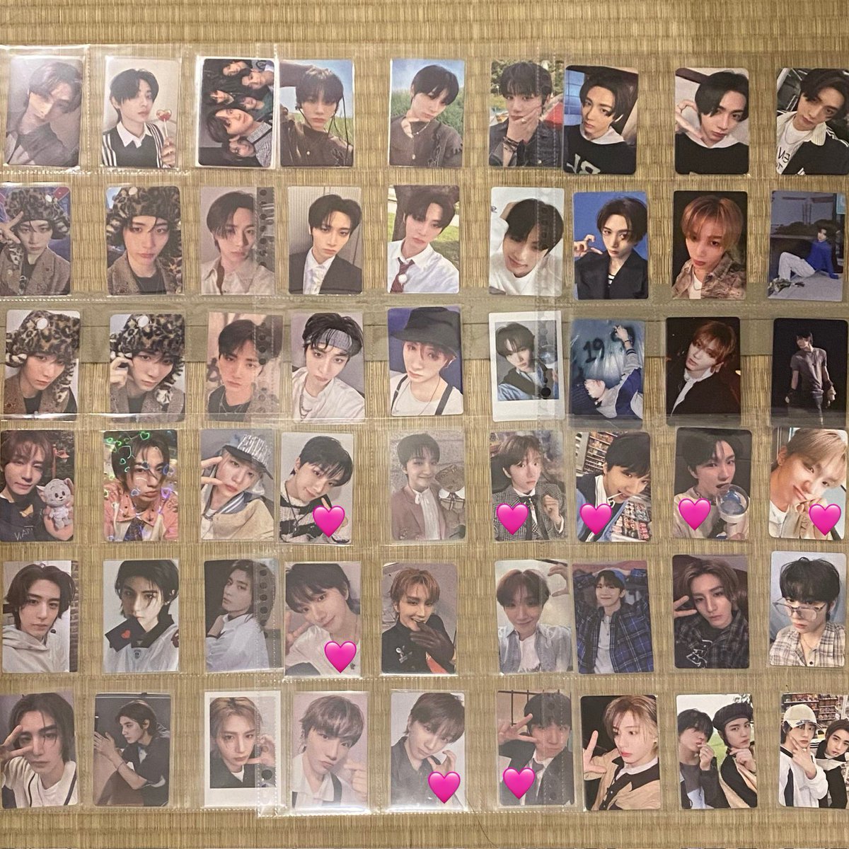 🐾⭐︎ tweet media