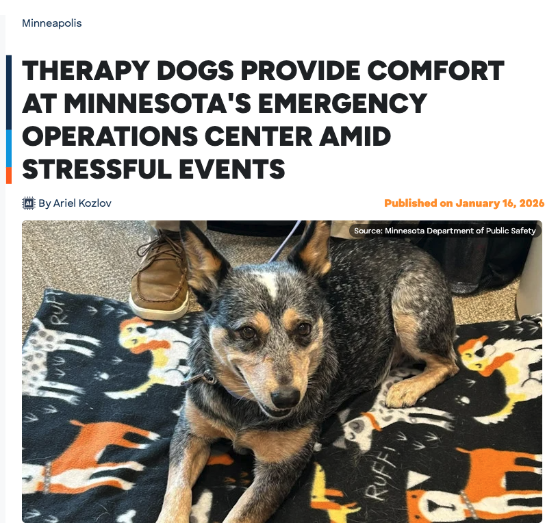 North Star Therapy Animals of Pet Partners tweet media