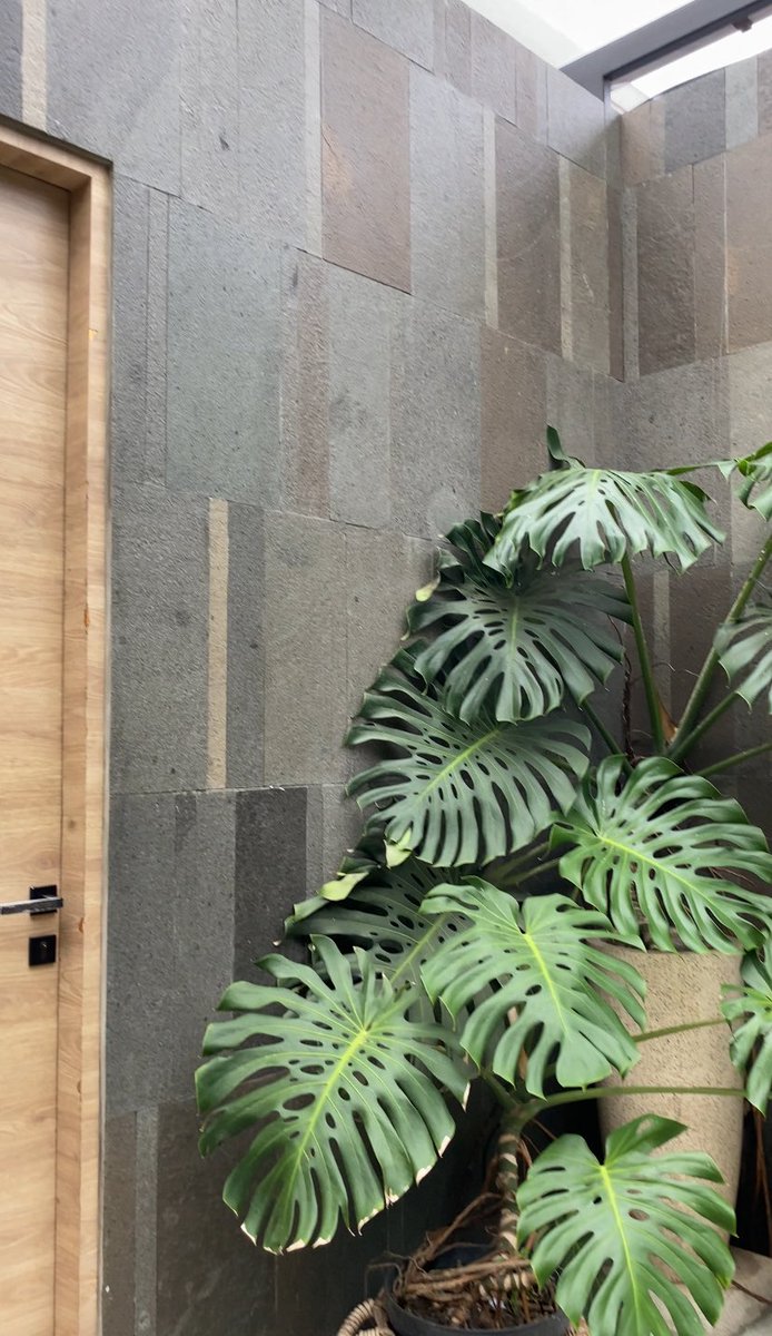 flowreetz's tweet image. Recent