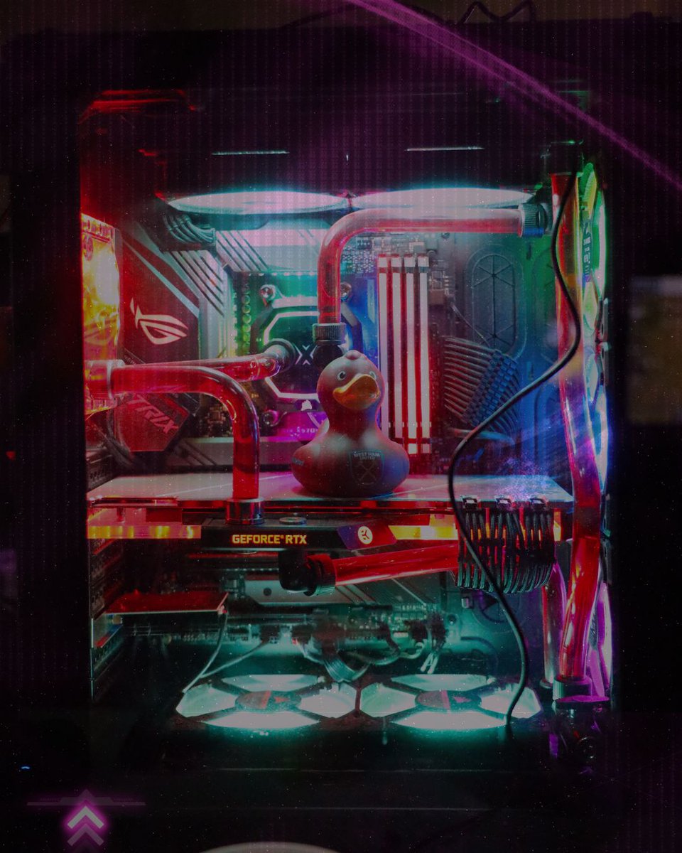 EnclaveLAN tweet media