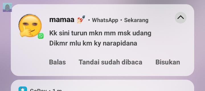 tanyakanrl's tweet image. mi ni mal lima kata🥲 💚