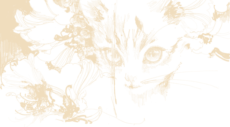 ͏ ͏ ͏ ͏ ͏ ͏ ͏ ͏ ͏ ͏ ͏ ͏ ͏𝑷𝗂𝗍𝖺𝗒𝖺 ִ (@drgonmarks) on Twitter photo 