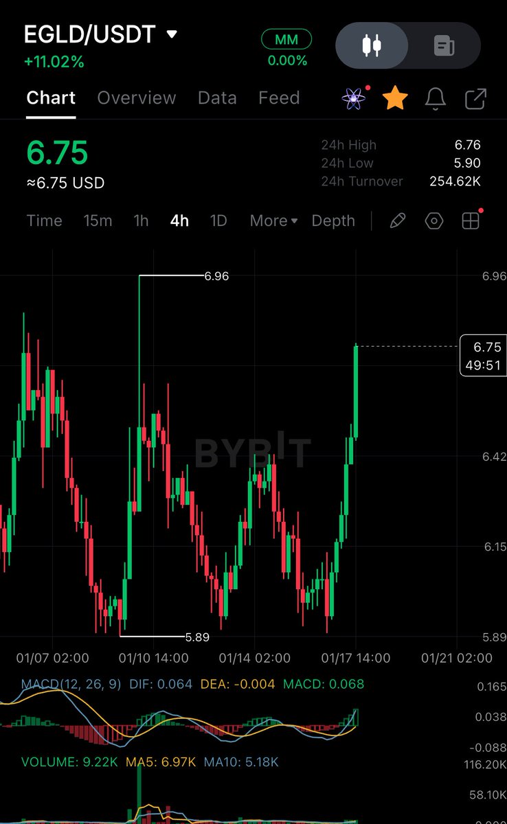 PaulinHoPumpinHo 🚀 tweet media