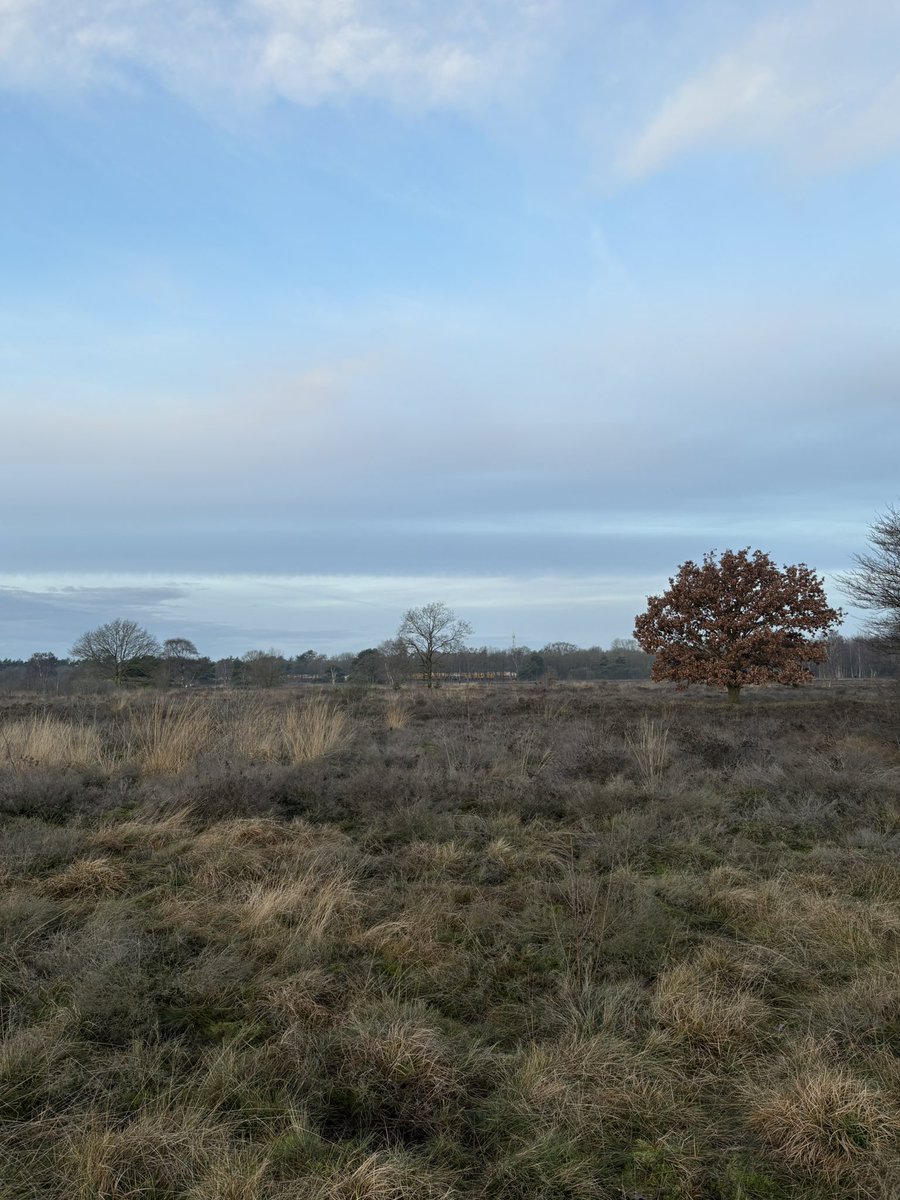 08.00 uur Zaterdagochtendrondje #GroevenbeekseHeide #Ermelo #pp