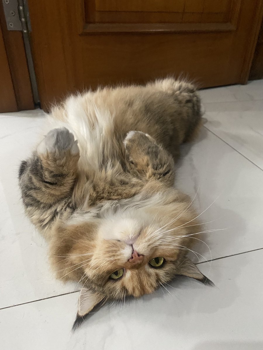 Menikmati libur panjang