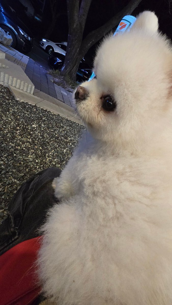 제프리스 사기 jefferies 허위 플랫폼 미래청사진프로젝트 전략.xra