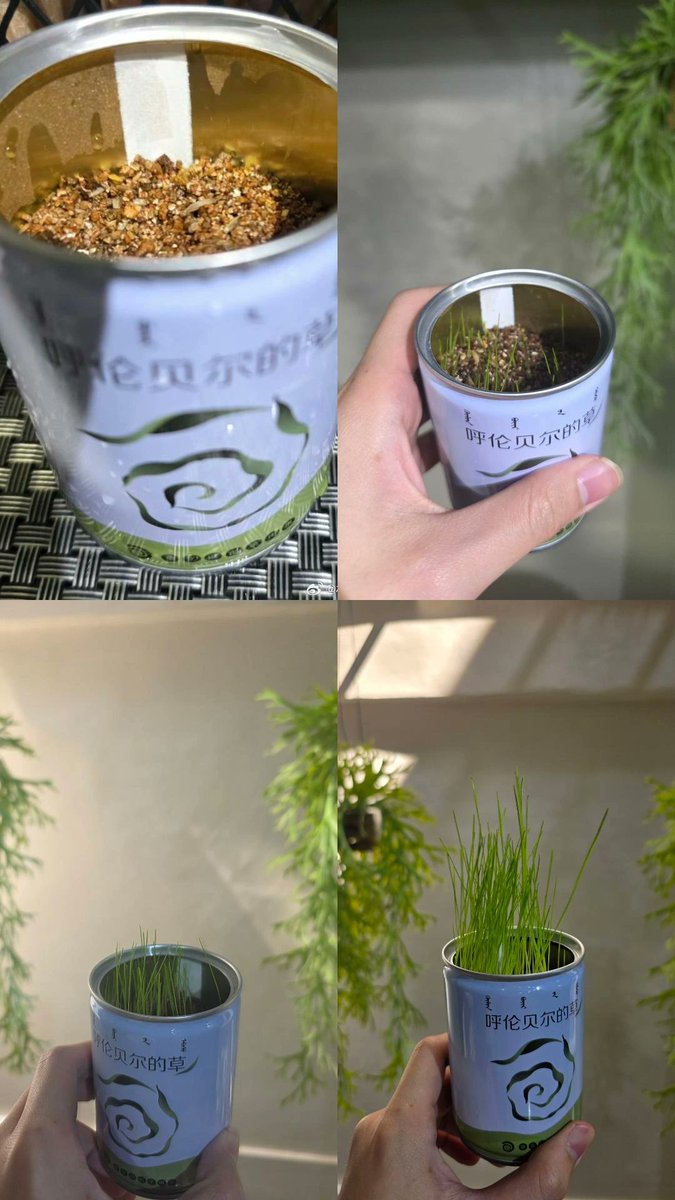 rathavit1997's tweet image. ภูมิใจไหมลูกชายปลูกหญ้าขึ้นนน