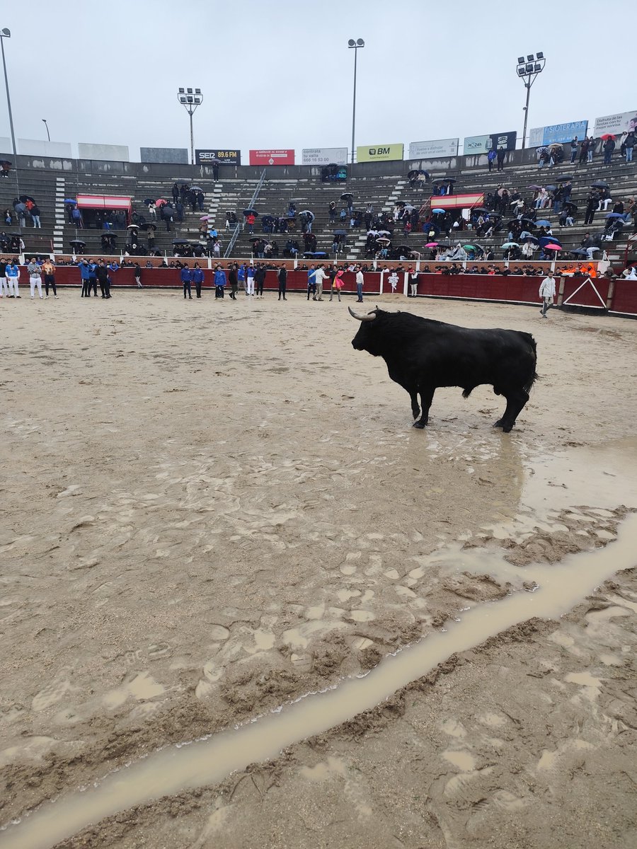 Viva Sanse cojones