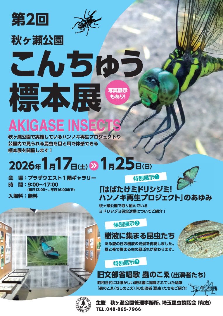 虫好きさんにお知らせ🦋

「秋ヶ瀬公園　こんちゅう標本展 」
プラザウエスト(桜区役所)で開催中です！
parks.or.jp/akigase/event/…
1/25(日)まで🪲

#さいたま市