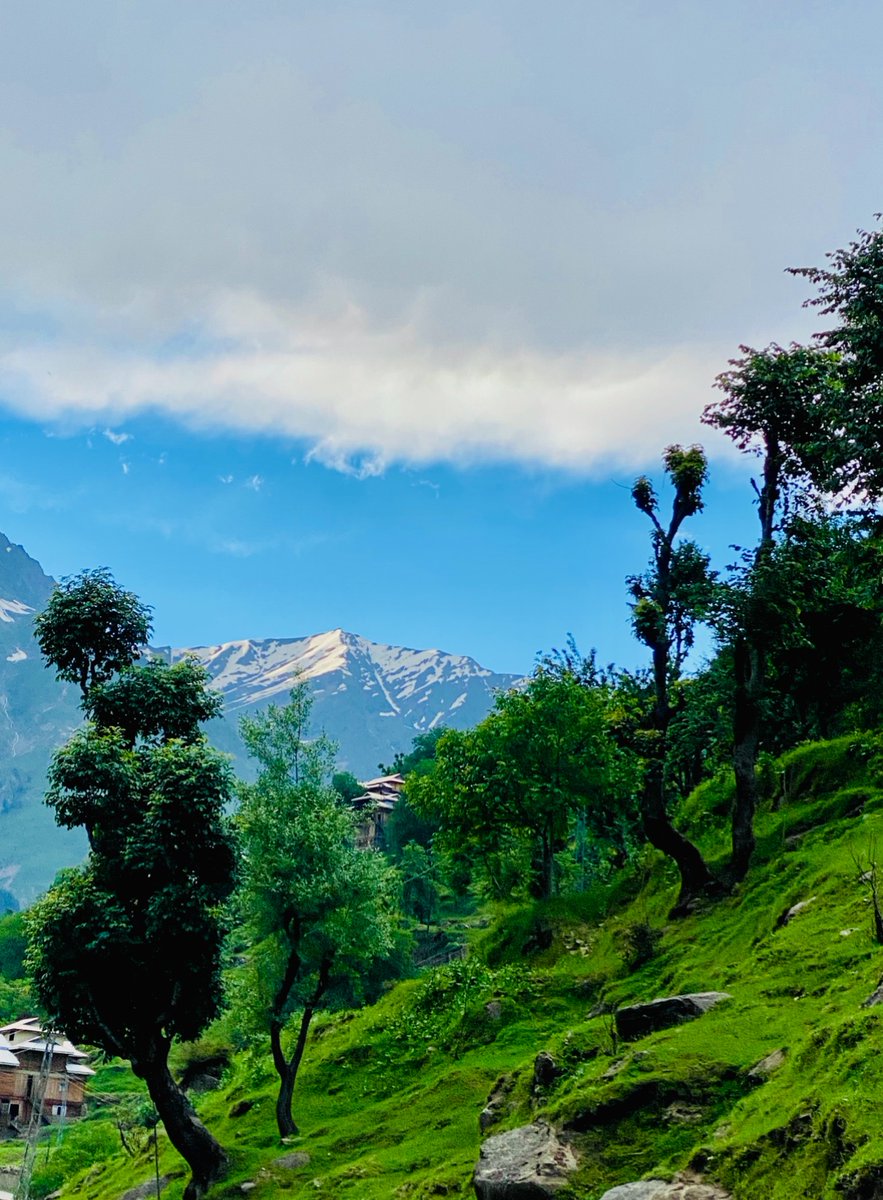 Dr Areej tweet media