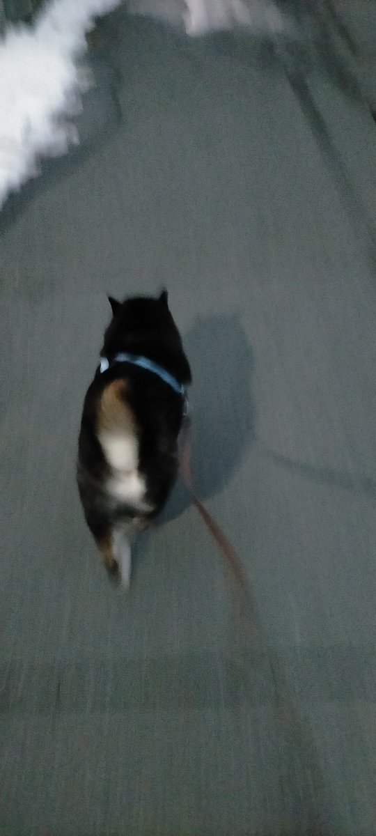 夜はナナちゃんちいってみよっと💨