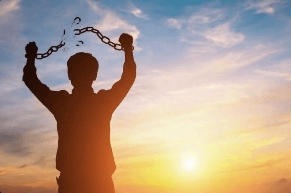 TacBuild's tweet image. Deleted all browsers.

Telegram is now the go-to app for all things DeFi.