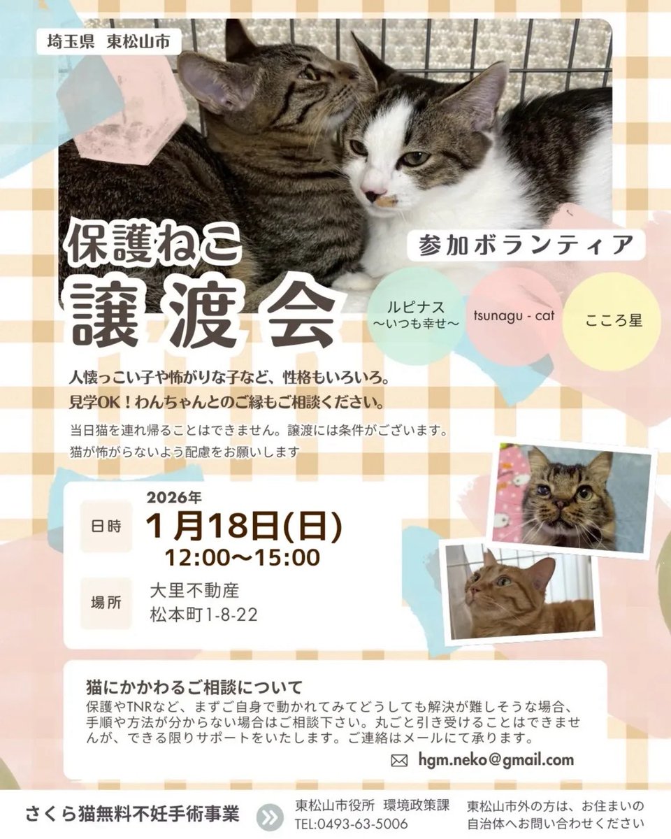 tsunagu_cat's tweet image. 『＼明日1/18(日)は東松山市保護ねこ譲渡会／』

#東松山市保護ねこ譲渡会
#東松山譲渡会
#埼玉県東松山市
#イベント情報

子猫さんたちも
たくさん参加します🐣

✴︎ブログ更新しました✴︎
ameblo.jp/tsunagu-cat/en…