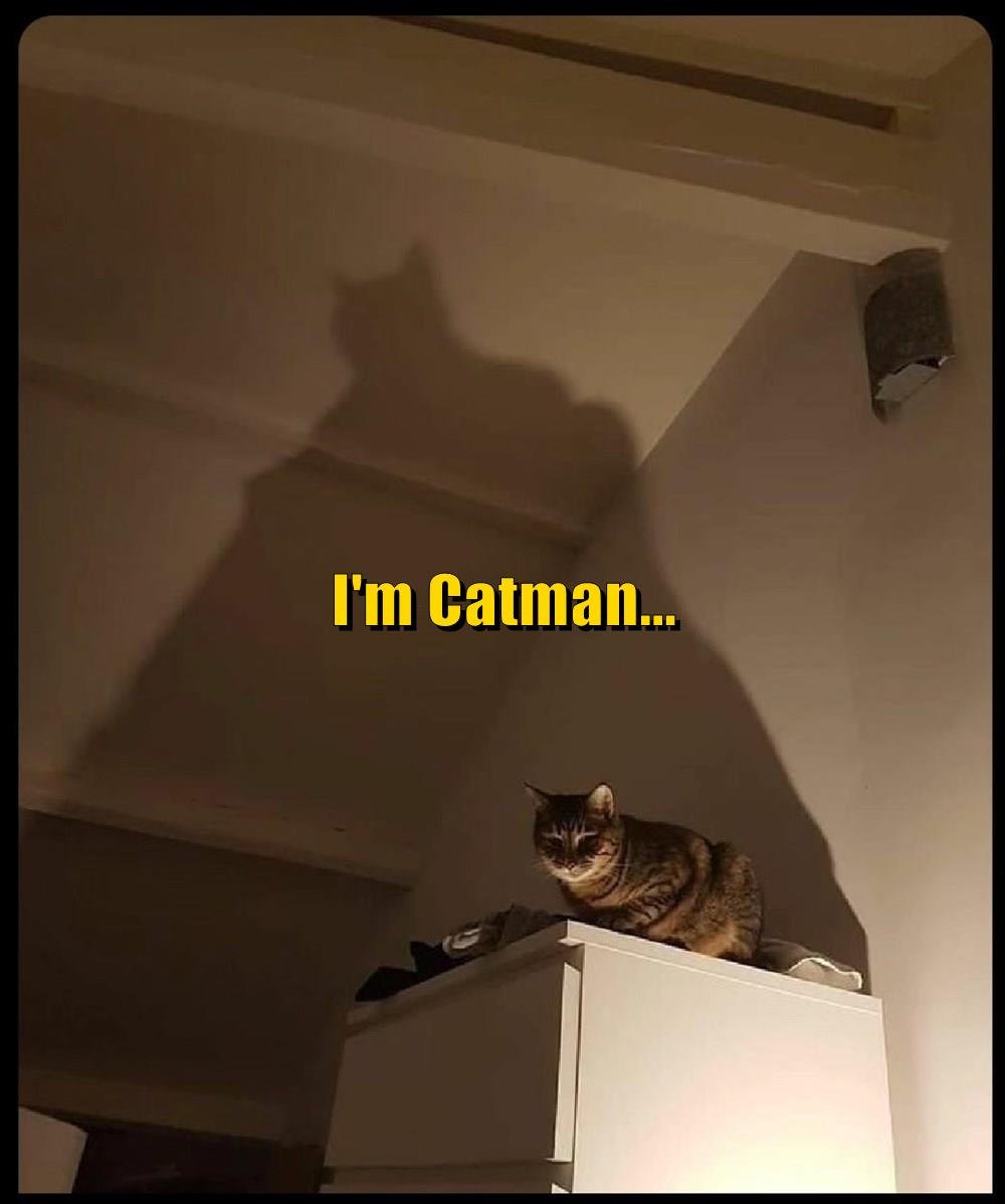 chinapumprocket's tweet image. locked in