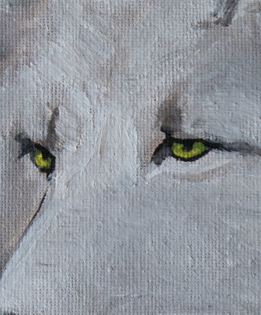 🍂𝕮𝖑𝖊𝖒 tweet media