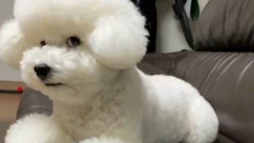 เมื่อก่อนคือทรงม๋าเซเลป สวยเริศ เชิ่ด รับบทนางเอก mv เพลงฮุนนะคะ